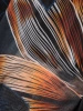 Elegancka czarna sukienka rozkloszowana maxi w kwiaty – wygodna gumka w pasie akcentująca talię 37082